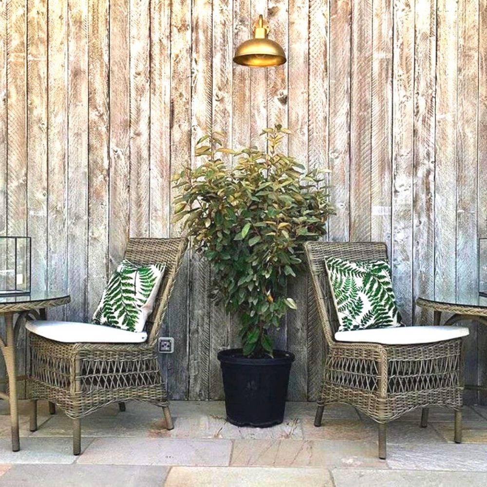 Green Leave Cushion Covers "The leaves of the fruit"  - belledesoiree.com